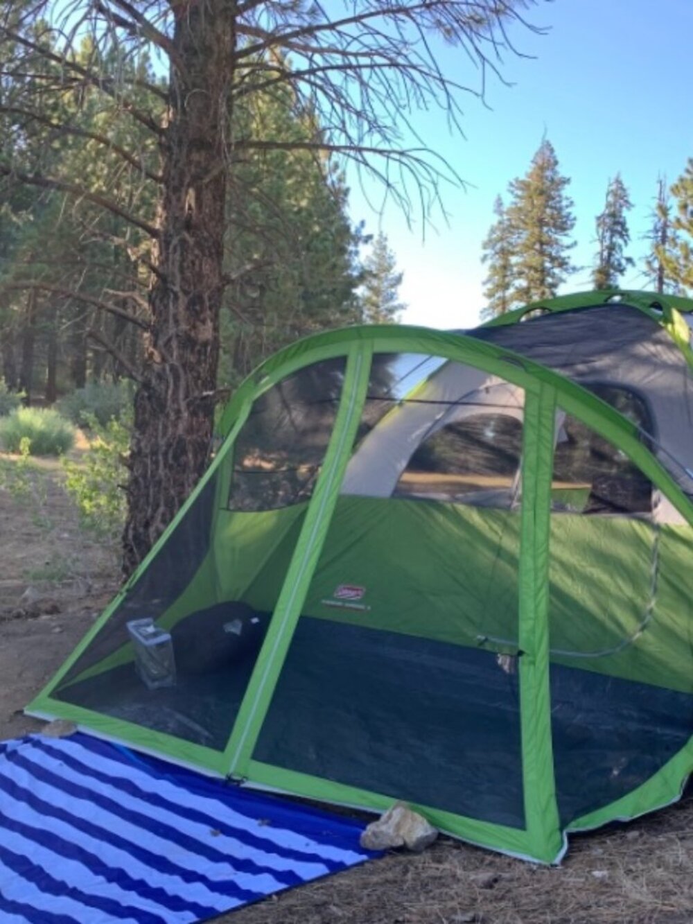 Coleman Evanston 6-Person Tent with Screened Porch – Excellent Condition – $125